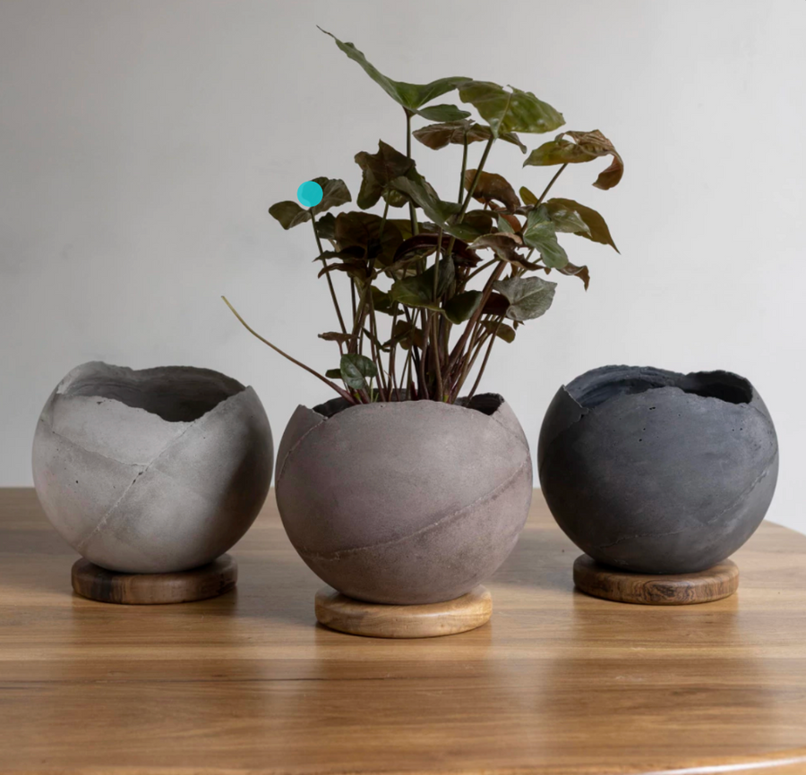 Macetas esfera de cemento con base de madera
